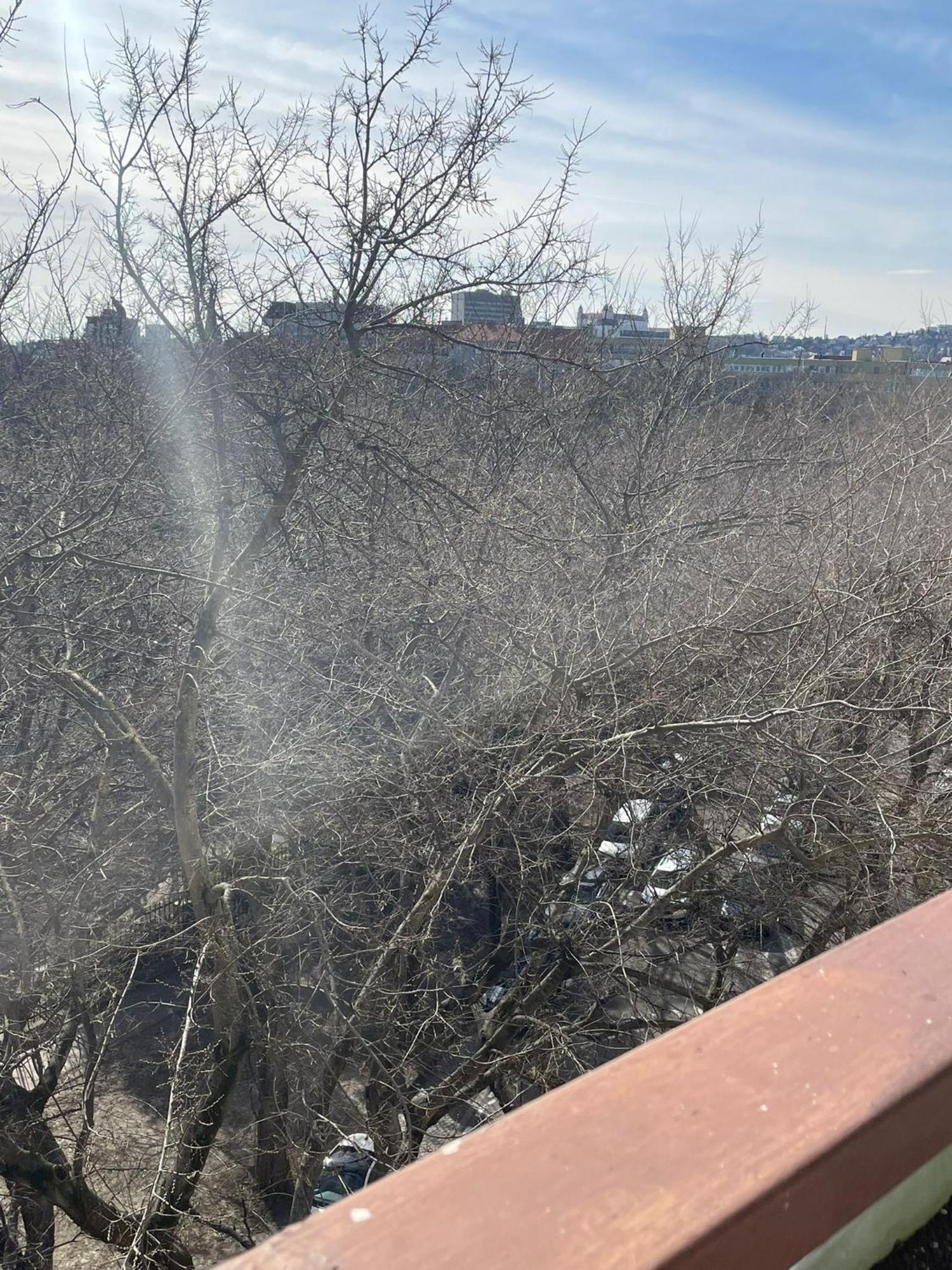 Park View City Center Location Apartment With Balcony Братислава Экстерьер фото